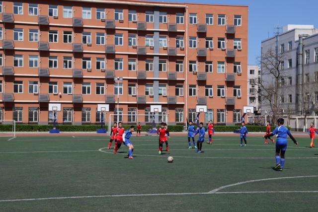 红鸟留不住好球员 切尔西1500万欧报价迈尼昂